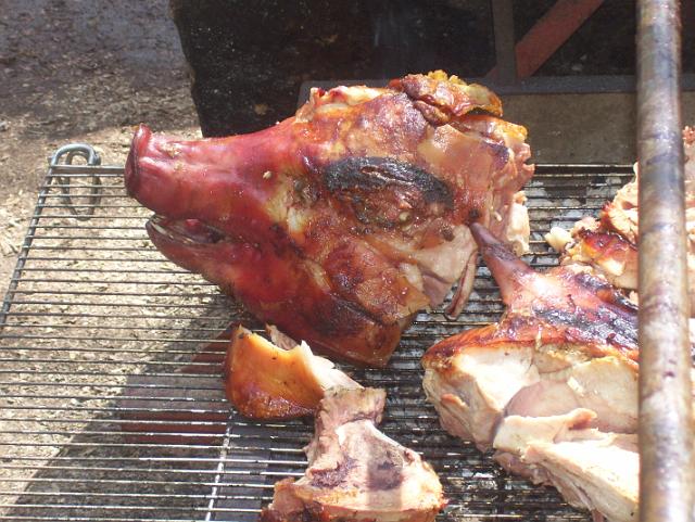 Steinkuhle 2008 (66).JPG